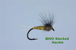 BWO Stacked